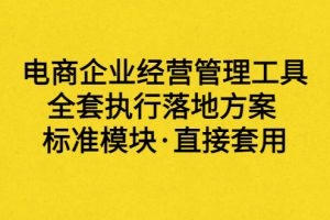 外面卖198·电商企业经营管理工具：全套执行落地方案 标准模块·直接套用