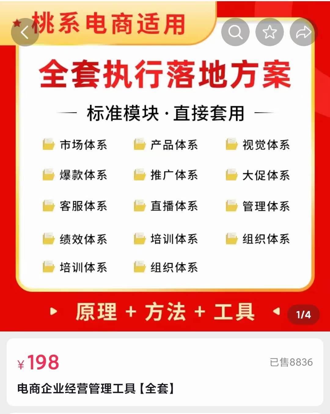 外面卖198·电商企业经营管理工具：全套执行落地方案 标准模块·直接套用插图1