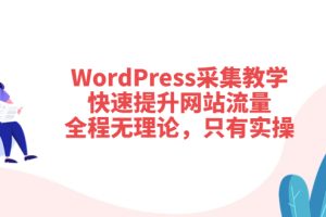 WordPress采集教学，快速提升网站流量：全程无理论，只有实操