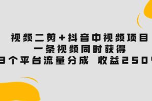 视频二剪+抖音中视频项目：一条视频获得3个平台流量分成 收益250% 价值4980