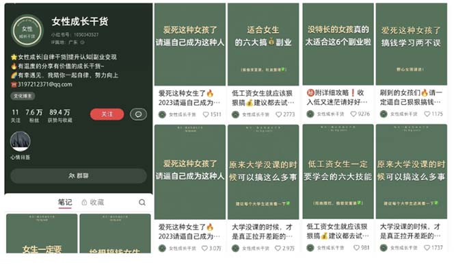 小红书各行业引流玩法，从养号到制作到引流等，一条龙分享给你插图2