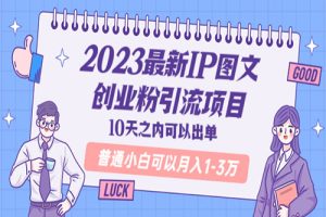 2023最新IP图文创业粉引流项目，10天之内可以出单 普通小白可以月入1-3万