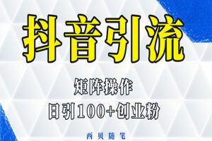 抖音引流术，矩阵操作，一天能引100多创业粉