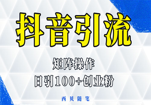 抖音引流术，矩阵操作，一天能引100多创业粉插图