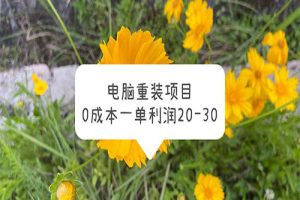 电脑系统重装项目，0成本一单利润20-30