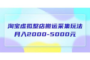 淘宝虚拟整店搬运采集玩法分享课：月入2000-5000元（5节课）