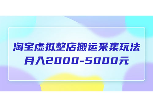 淘宝虚拟整店搬运采集玩法分享课：月入2000-5000元（5节课）插图