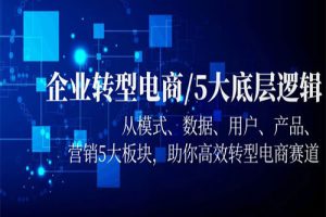 企业转型电商/5大底层逻辑，从模式 数据 用户 产品 营销5大板块，高效转型