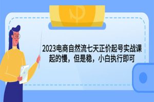 2023电商自然流七天正价起号实战课：起的慢，但是稳，小白执行即可