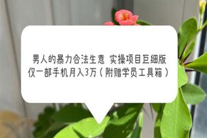 男人的暴力合法生意实操项目巨细版：仅一部手机月入3w（附赠学员工具箱）