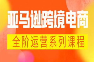 亚马逊跨境-电商全阶运营系列课程 每天10分钟，让你快速成为亚马逊运营高手