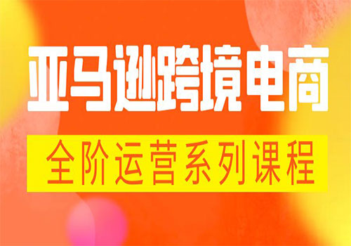 亚马逊跨境-电商全阶运营系列课程 每天10分钟，让你快速成为亚马逊运营高手插图