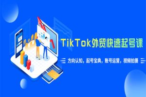 TikTok/外贸·快速起号课，方向认知，起号宝典，账号运营，视频拍摄(33节)