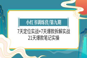 小红书训练营/第九期：7天定位实战+7天爆款拆解实战，21天爆款笔记实操