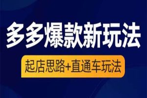 2023拼多多爆款·新玩法：起店思路+直通车玩法（3节精华课）