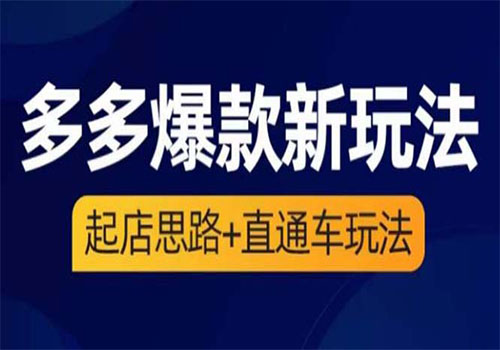 2023拼多多爆款·新玩法：起店思路+直通车玩法（3节精华课）插图