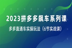 2023拼多多飙车系列课，多多直通车实操玩法（6节实战课）