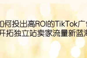 如何投出高ROI·TikTok广告，开拓独立站卖家流量新蓝海