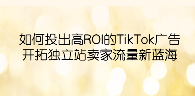 如何投出高ROI·TikTok广告，开拓独立站卖家流量新蓝海插图