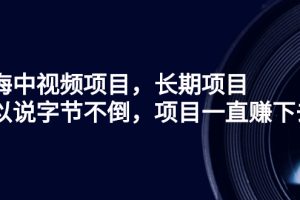 蓝海中视频项目，长期项目，可以说字节不倒，项目一直赚下去