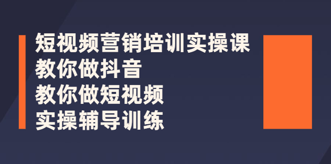 短视频营销培训实操课：教你做抖音，教你做短视频，实操辅导训练插图