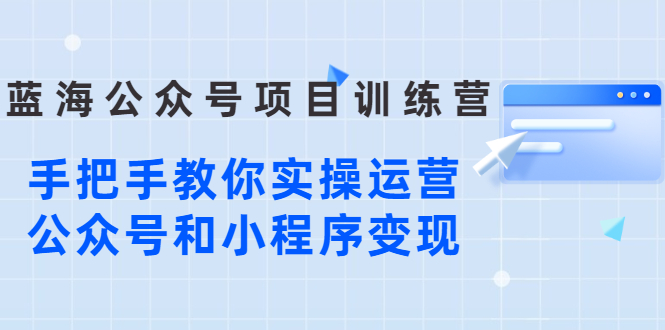 蓝海公众号项目训练营，手把手教你实操运营公众号和小程序变现插图