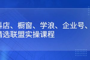 抖店、橱窗、学浪、企业号、精选联盟实操课程