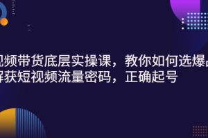 短视频带货底层实操课，教你如何选爆品、了解获短视频流量密码，正确起号