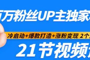 百万粉丝UP主独家秘诀：冷启动+爆款打造+涨粉变现 2个月12W粉（21节视频课)