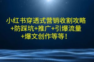 小红书穿透式营销收割攻略+防踩坑+推广+引爆流量+爆文创作等等