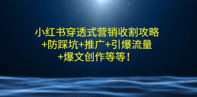 小红书穿透式营销收割攻略+防踩坑+推广+引爆流量+爆文创作等等插图