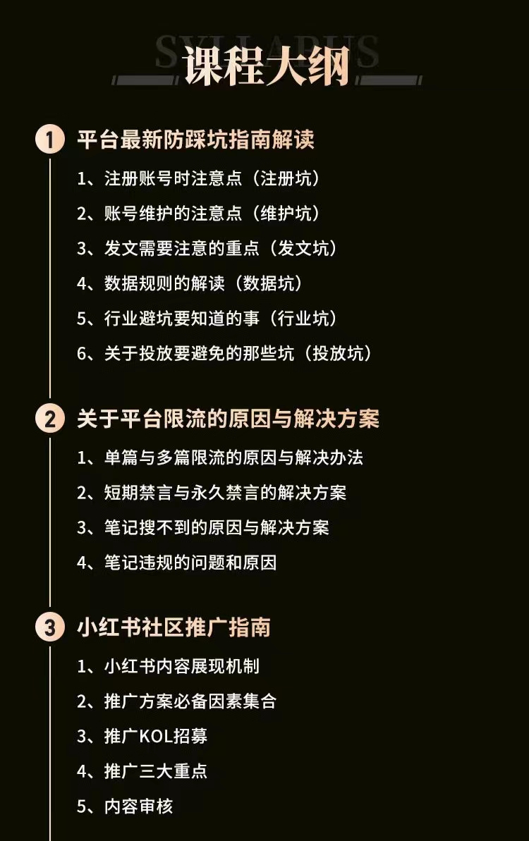 小红书穿透式营销收割攻略+防踩坑+推广+引爆流量+爆文创作等等插图1