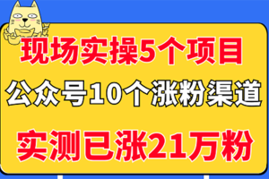 现场实操5个公众号项目，10个涨粉渠道，实测已涨21万粉