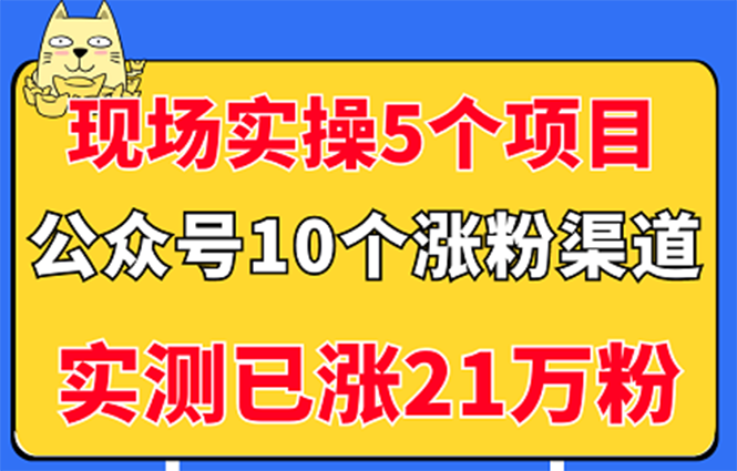 现场实操5个公众号项目，10个涨粉渠道，实测已涨21万粉插图