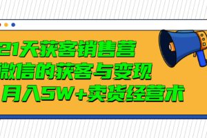 21天获客销售营，带你破解微信的获客与变现 月入5W+卖货经营术