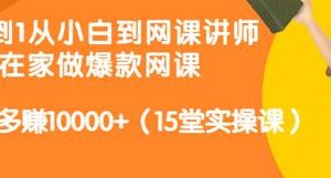 从0到1从小白到网课讲师：在家做爆款网课，每月多赚10000+（15堂实操课）