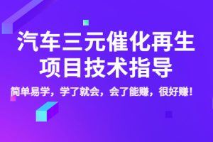 汽车三元催化再生项目技术指导，简单易学，学了就会，会了能赚，很好赚