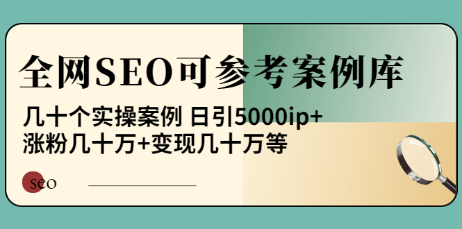 《全网SEO可参考案例库》几十个实操案例 日引5000ip+涨粉百W+变现几十W等插图