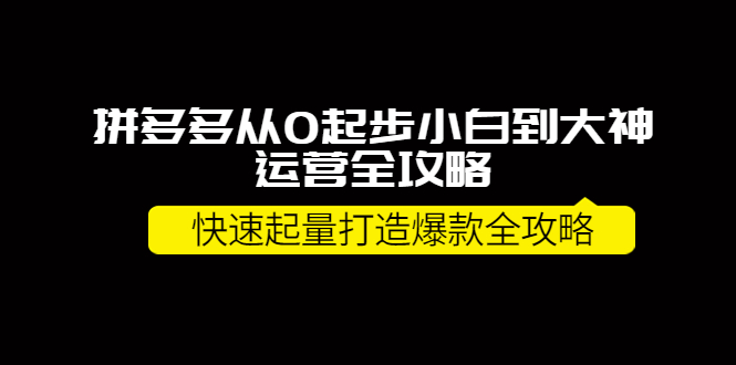 拼多多从0起步小白到大神运营全攻略，快速起量打造10W+爆款全攻略插图