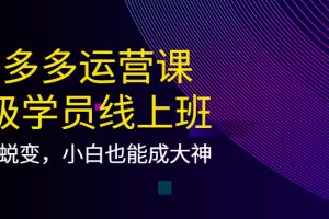 拼多多运营课：超级学员线上班，21天蜕变，小白也能成大神