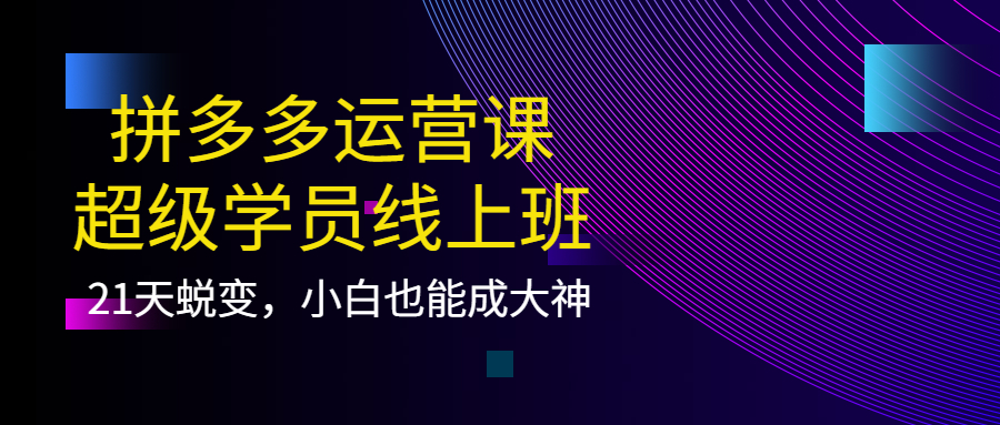 拼多多运营课：超级学员线上班，21天蜕变，小白也能成大神插图