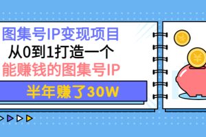 图集号IP变现项目：从0到1打造一个能赚钱的图集号IP 半年赚了30W