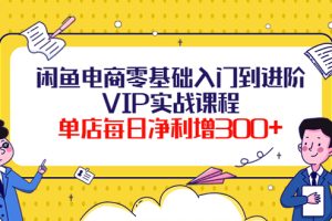 闲鱼电商零基础入门到进阶VIP实战课程，单店每日净利增300+（37节课）