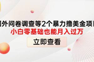 国外问卷调查等2个暴力撸美金项目，小白零基础也能月入过万