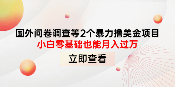 国外问卷调查等2个暴力撸美金项目，小白零基础也能月入过万插图