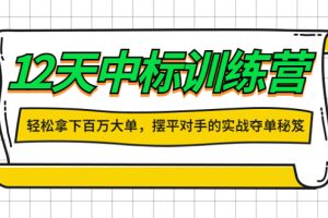 12天中标训练营：轻松拿下百万大单，摆平对手的实战夺单秘笈