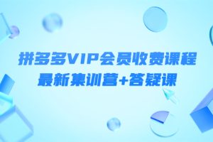 某社群·拼多多VIP会员收费课程，最新集训营+答疑课-价值3299元