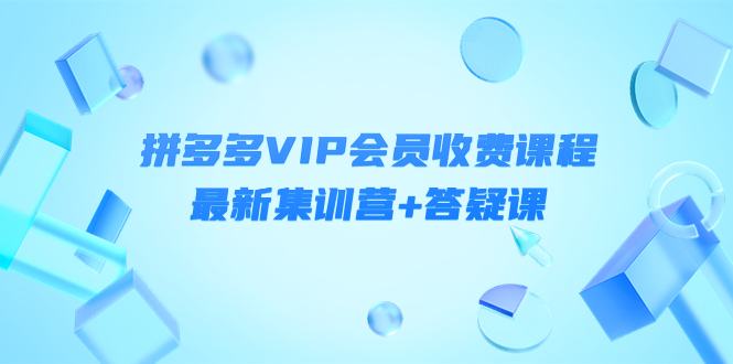 某社群·拼多多VIP会员收费课程，最新集训营+答疑课-价值3299元插图