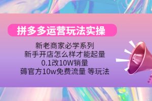 拼多多运营玩法实操，0.1改10W销量，薅官方10w免费流量 等玩法