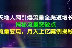 天地人网引爆流量全渠道增长：揭秘流量突然破点，流量变现，月入上亿案例